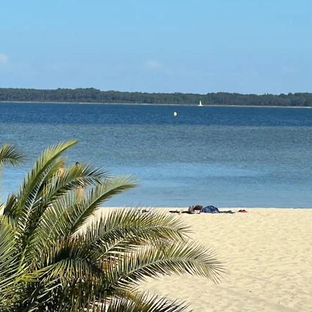 Chalet Et Jaccuzy Sur La Plage Biscarrosse Exterior photo
